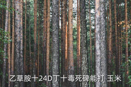 乙草胺十24D丁十毒死碑能打 玉米