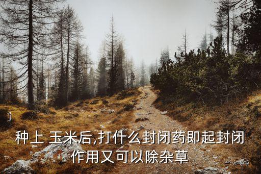 種玉米需要噴什么農藥好,什么地方需要大量玉米