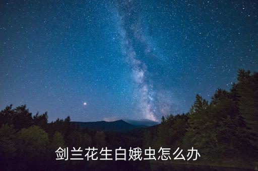 劍蘭花生白娥蟲怎么辦