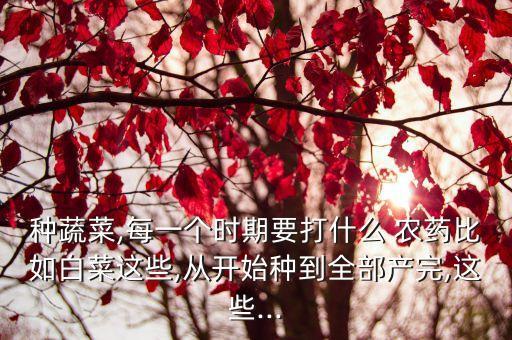 種蔬菜,每一個時期要打什么 農藥比如白菜這些,從開始種到全部產完,這些...