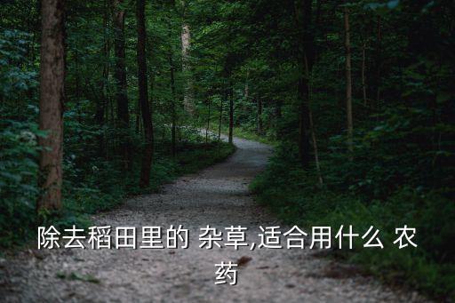 除去稻田里的 雜草,適合用什么 農(nóng)藥