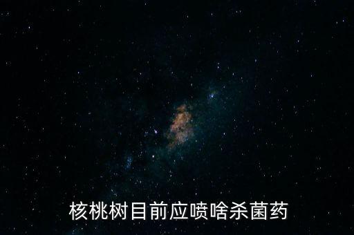  核桃樹目前應噴啥殺菌藥