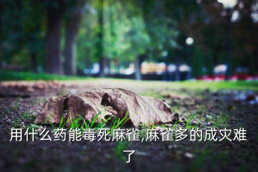 用什么藥能毒死麻雀,麻雀多的成災難了
