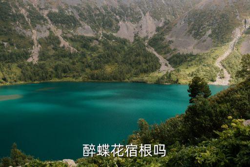 ,什么農藥能除蒲葦病