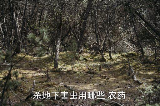 殺地下害蟲用哪些 農藥