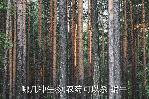 什么農藥毒死蝸牛,清除蝸牛用什么農藥