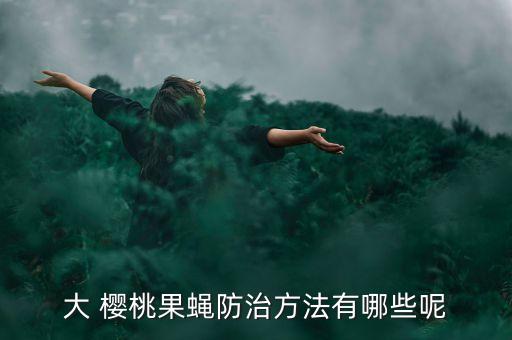 大 櫻桃果蠅防治方法有哪些呢