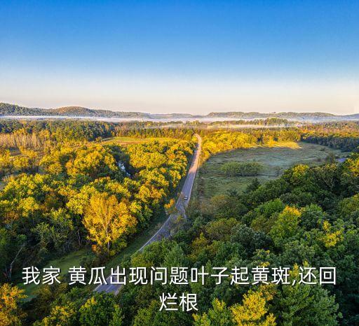 黃瓜爛葉病要用什么農(nóng)藥