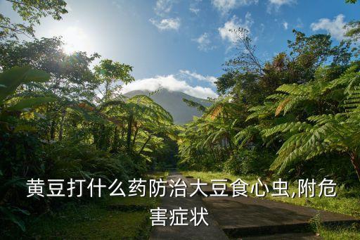 摘黃豆用什么農藥最好呢,黃豆要打什么農藥