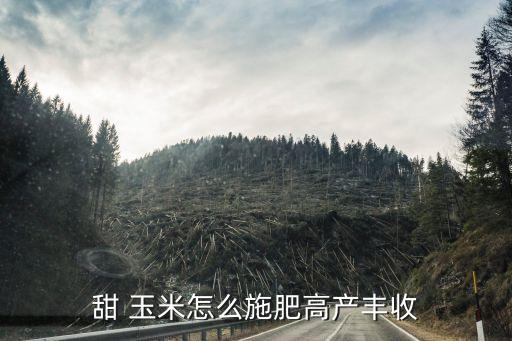 甜 玉米怎么施肥高產豐收