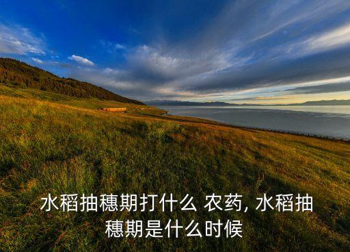  水稻抽穗期打什么 農藥, 水稻抽穗期是什么時候