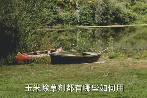 玉米田適合什么農(nóng)藥,玉米治蟲用什么農(nóng)藥好