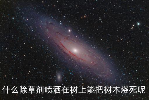 什么農藥使樹死去,雜樹用什么農藥根除