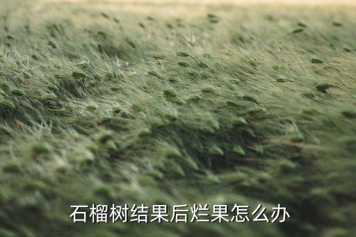 石榴開裂打什么農藥防治,石榴用什么農藥保果