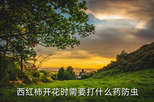  西紅柿開花時需要打什么藥防蟲