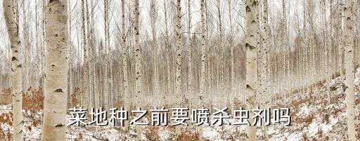 菜地種之前要噴殺蟲劑嗎