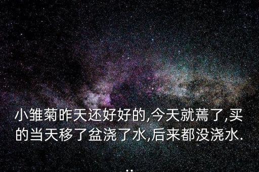 小雛菊昨天還好好的,今天就蔫了,買的當天移了盆澆了水,后來都沒澆水...