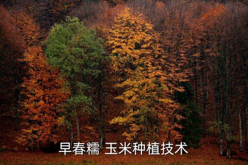 ,糯玉米需要噴什么農(nóng)藥好