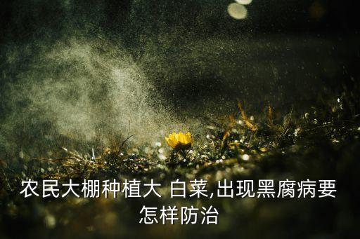 白菜黑斑用什么農藥,白菜上的黑斑什么原因