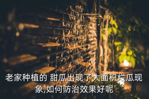 老家種植的 甜瓜出現了大面積爛瓜現象,如何防治效果好呢