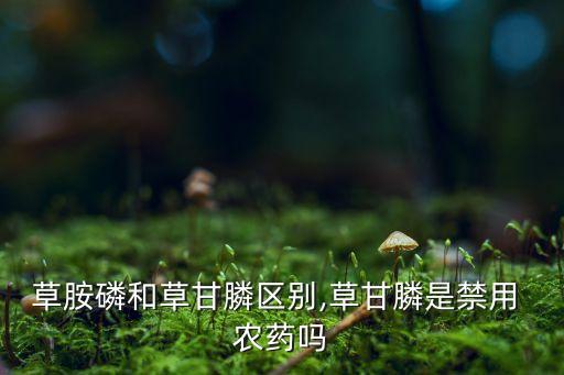 牛筋草用什么農(nóng)藥能殺死