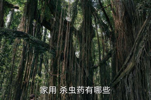 有什么農藥是長效殺蟲的