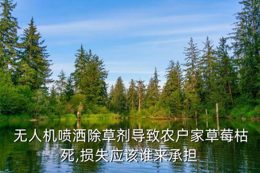  無人機噴灑除草劑導致農戶家草莓枯死,損失應該誰來承擔