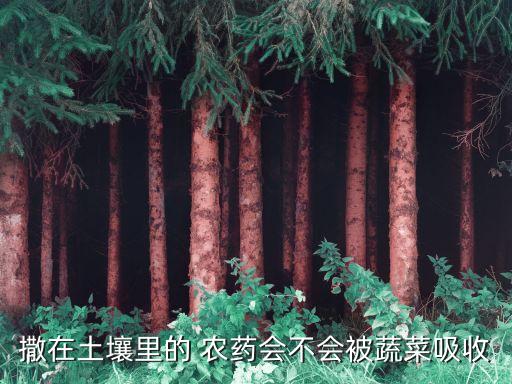農藥撒地上有什么作用,讓地上不長草用什么農藥