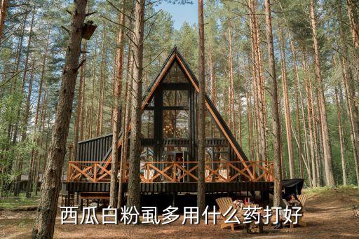  西瓜白粉虱多用什么藥打好