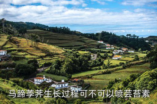 種馬蹄用什么農(nóng)藥消毒,馬蹄打什么農(nóng)藥最快大