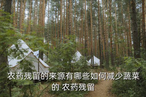  農(nóng)藥殘留的來源有哪些如何減少蔬菜的 農(nóng)藥殘留