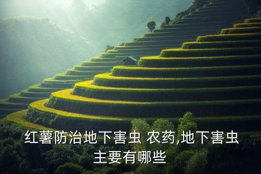  紅薯防治地下害蟲 農藥,地下害蟲主要有哪些