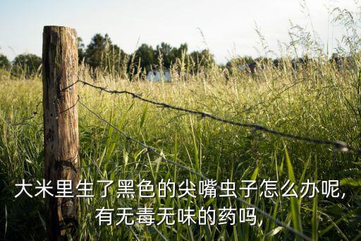 消滅谷象蟲用什么農(nóng)藥,玉米象蟲用什么消滅