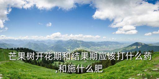  芒果樹開花期和結果期應該打什么藥,和施什么肥