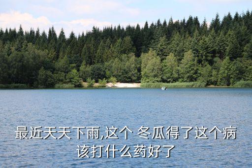 黑皮大冬瓜苗打什么農(nóng)藥好