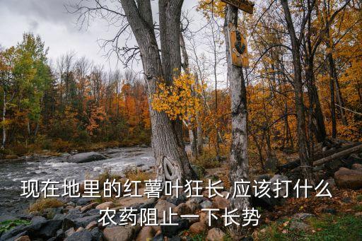 現(xiàn)在地里的紅薯葉狂長,應該打什么 農(nóng)藥阻止一下長勢