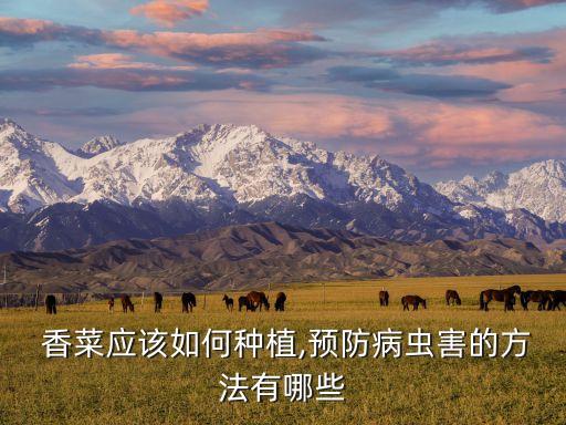  香菜應該如何種植,預防病蟲害的方法有哪些