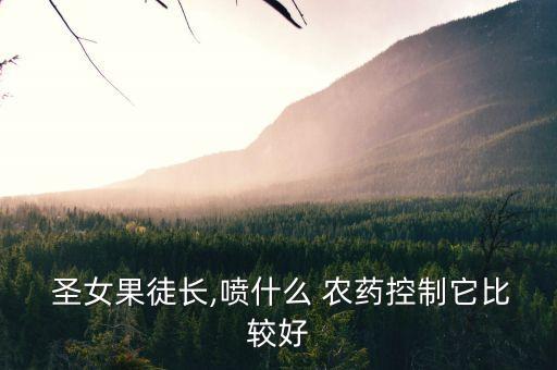  圣女果徒長,噴什么 農藥控制它比較好