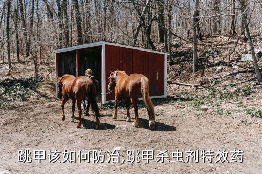 什么農(nóng)藥打死跳甲蟲,甲蟲用什么農(nóng)藥最好