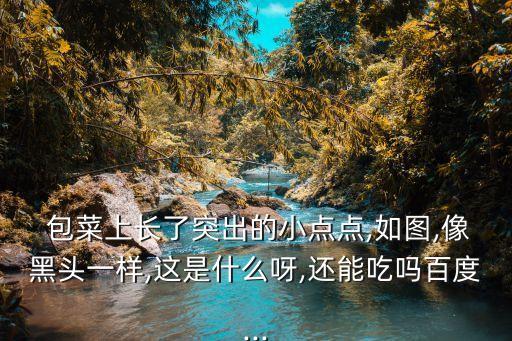 包菜黑點打什么農藥最好,包菜蟲用什么農藥