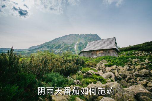 西紅柿一般放什么農藥