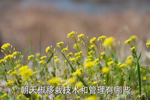 朝天椒忌什么農藥