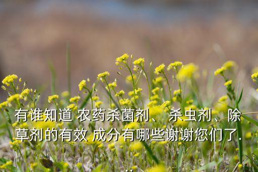 殺蟲之王的農藥是什么成分,公園殺蟲農藥一般是什么