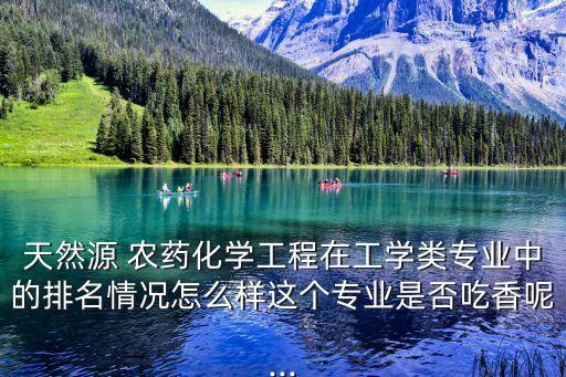 天然源 農(nóng)藥化學(xué)工程在工學(xué)類專業(yè)中的排名情況怎么樣這個(gè)專業(yè)是否吃香呢...
