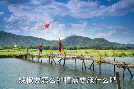 辣椒打什么農藥使果子大,辣椒爛葉用什么農藥好