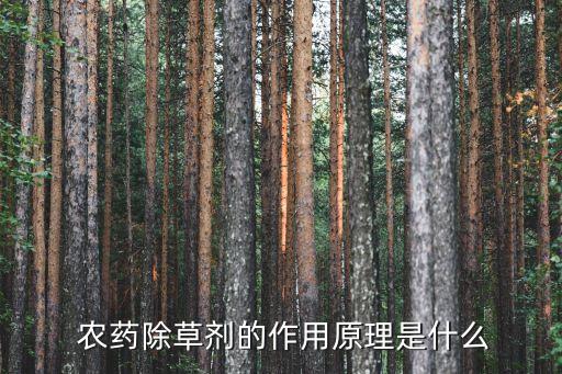 植物是靠什么吸收農藥的,植物內吸收殺蟲農藥有哪些