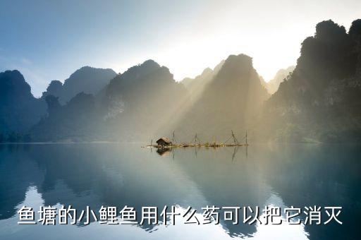 什么農(nóng)藥能治魚,藥魚用什么農(nóng)藥最好無毒