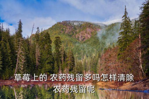  草莓上的 農(nóng)藥殘留多嗎怎樣清除 農(nóng)藥殘留呢