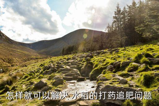 遲熟水稻用什么農藥,水稻農藥什么時間打效果最好
