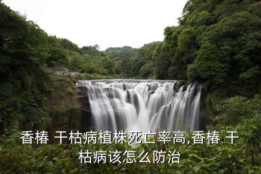 發生干枯病打什么農藥